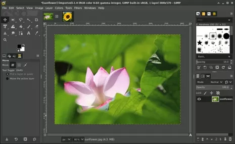 Best Free Photo Editing Software